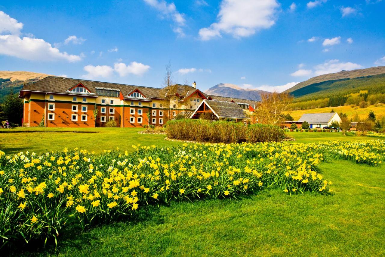 The hotel in spring, daffodils in the garden